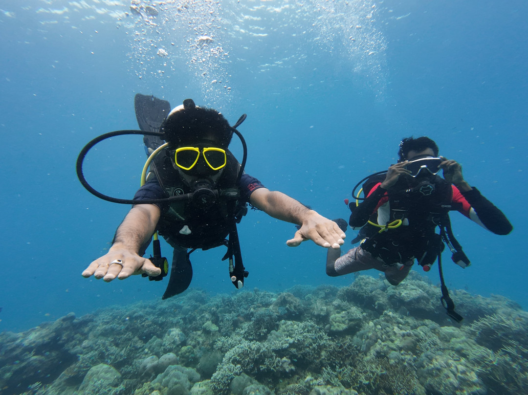 Turquoise Dream-Neil Island必去景点