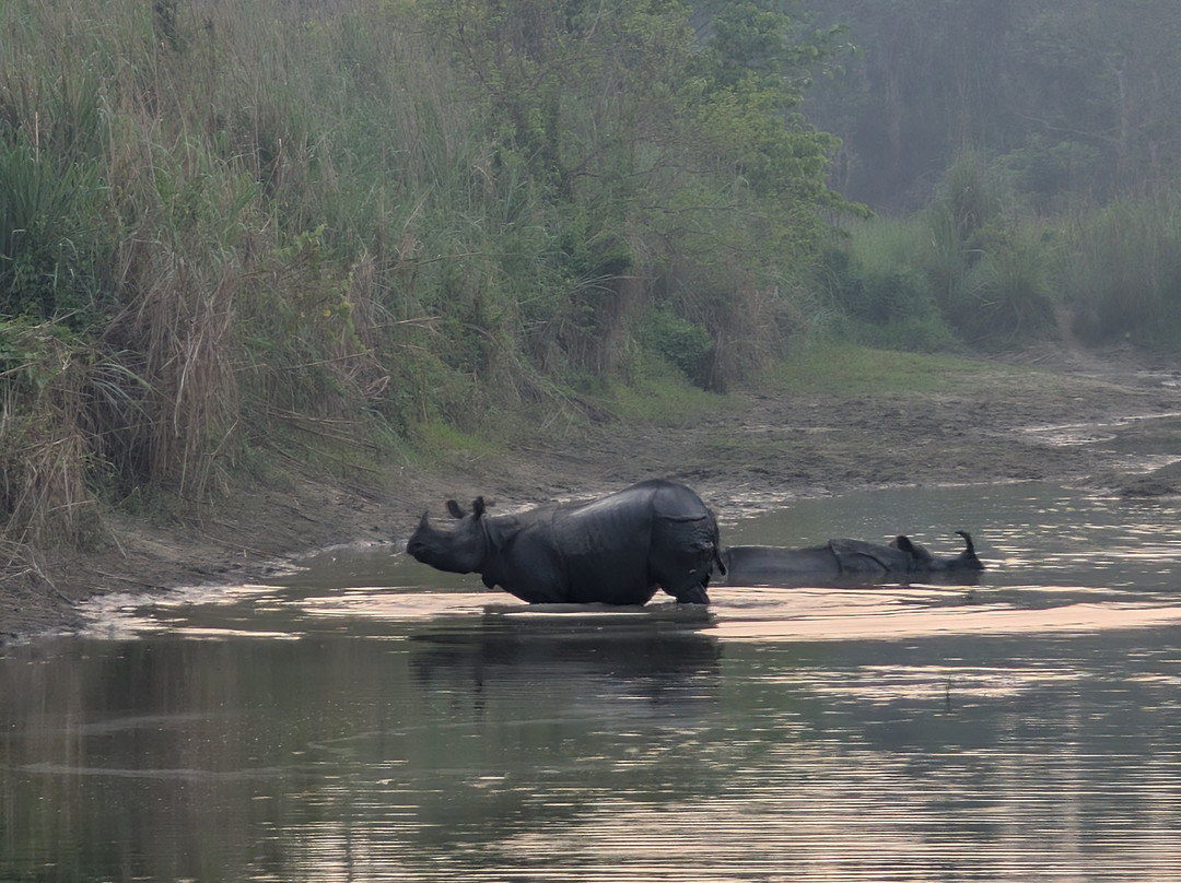 The Chitwan Jungle Guides-苏拉哈必去景点