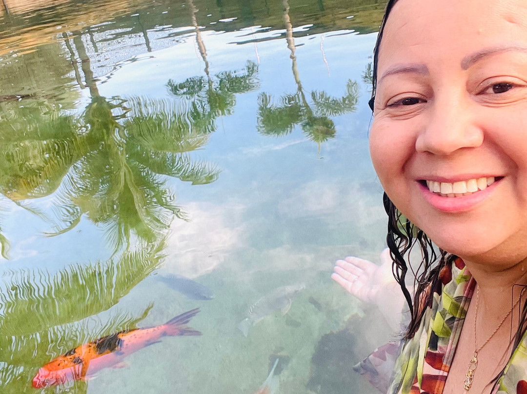 Carpe Diem Eco Resort 奥林匹亚主图