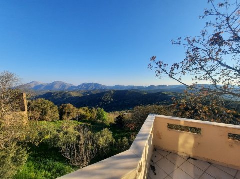 Aristea Hotel-旅行者