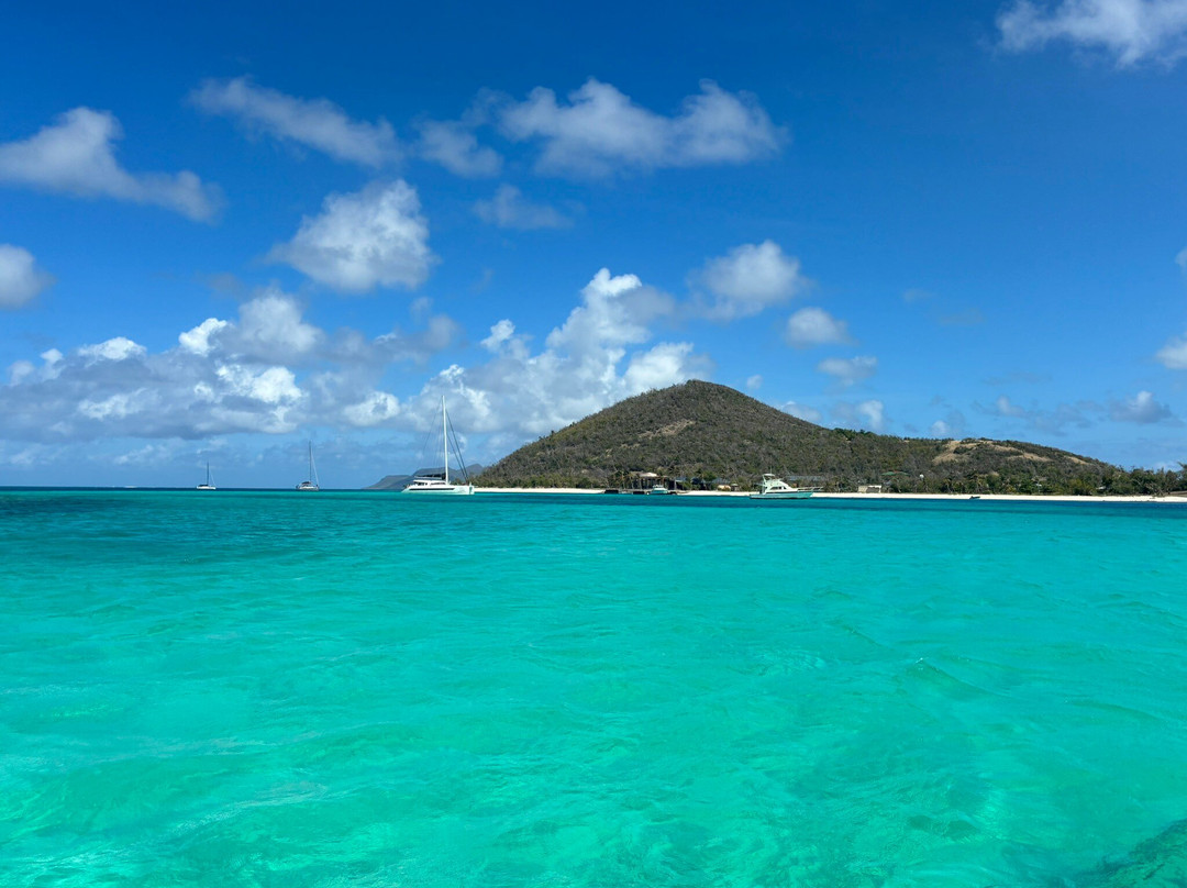 Froggy's Reef Tours and Snorkeling Carriacou-Carriacou Island必去景点