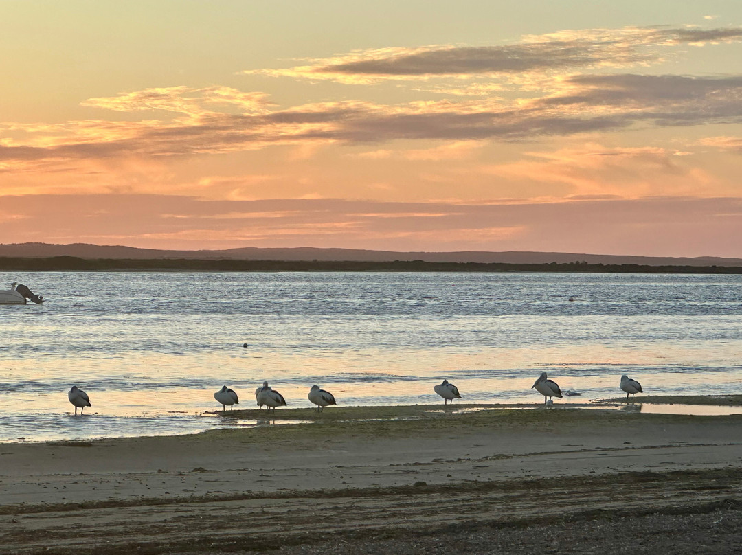 Baird Bay Experience-Bairds Bay必去景点