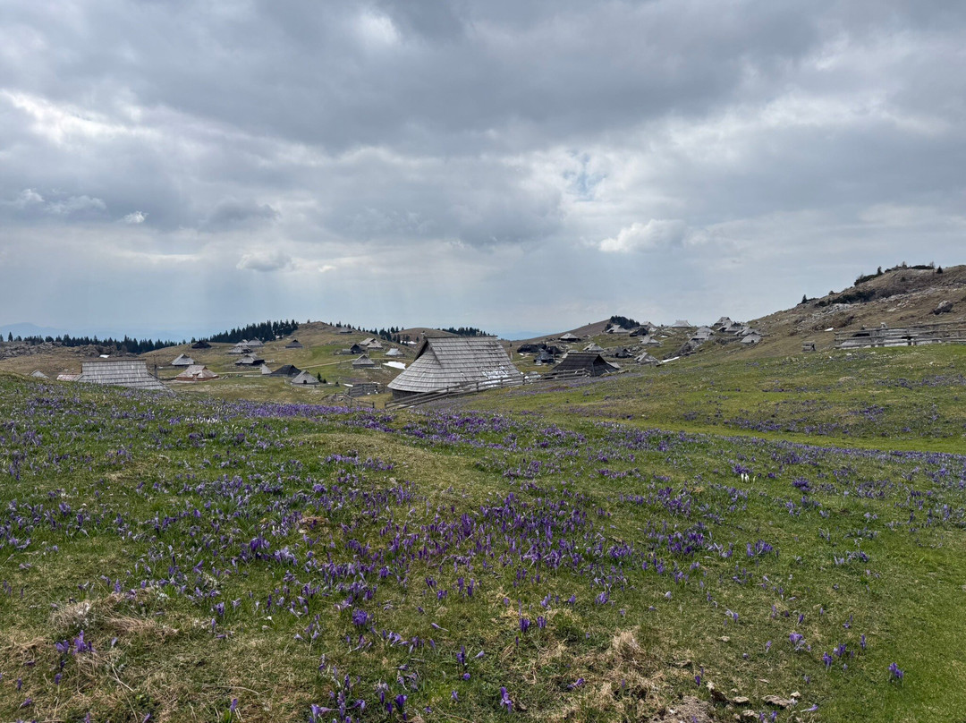 Velika Planina-Stahovica必去景点