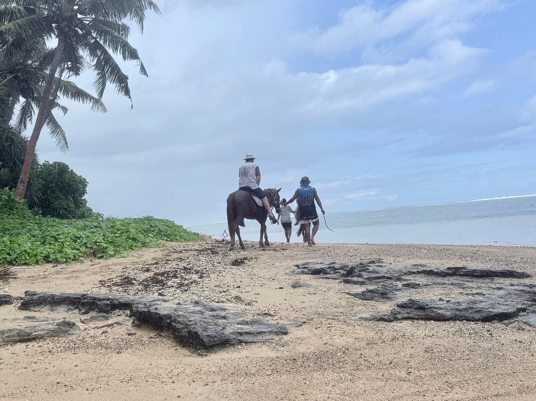 Maui Bay Horse Riding Adventure-苏瓦必去景点