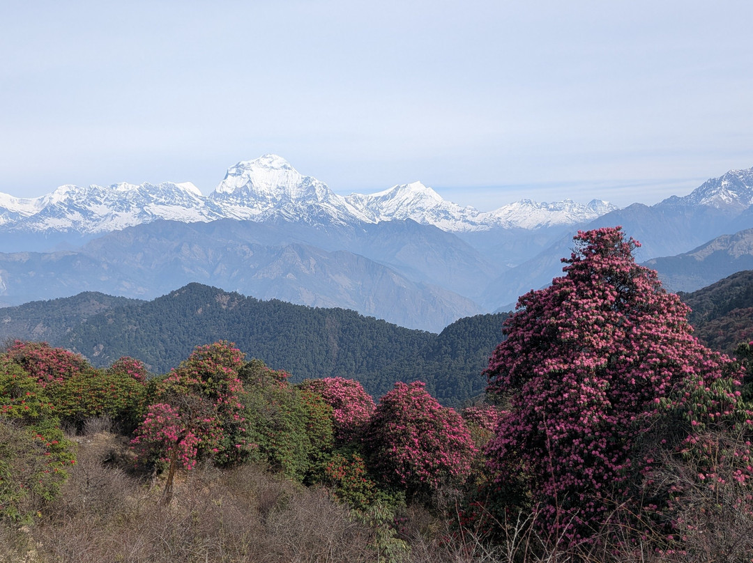 Annapurna Trekking Agency-加德满都必去景点