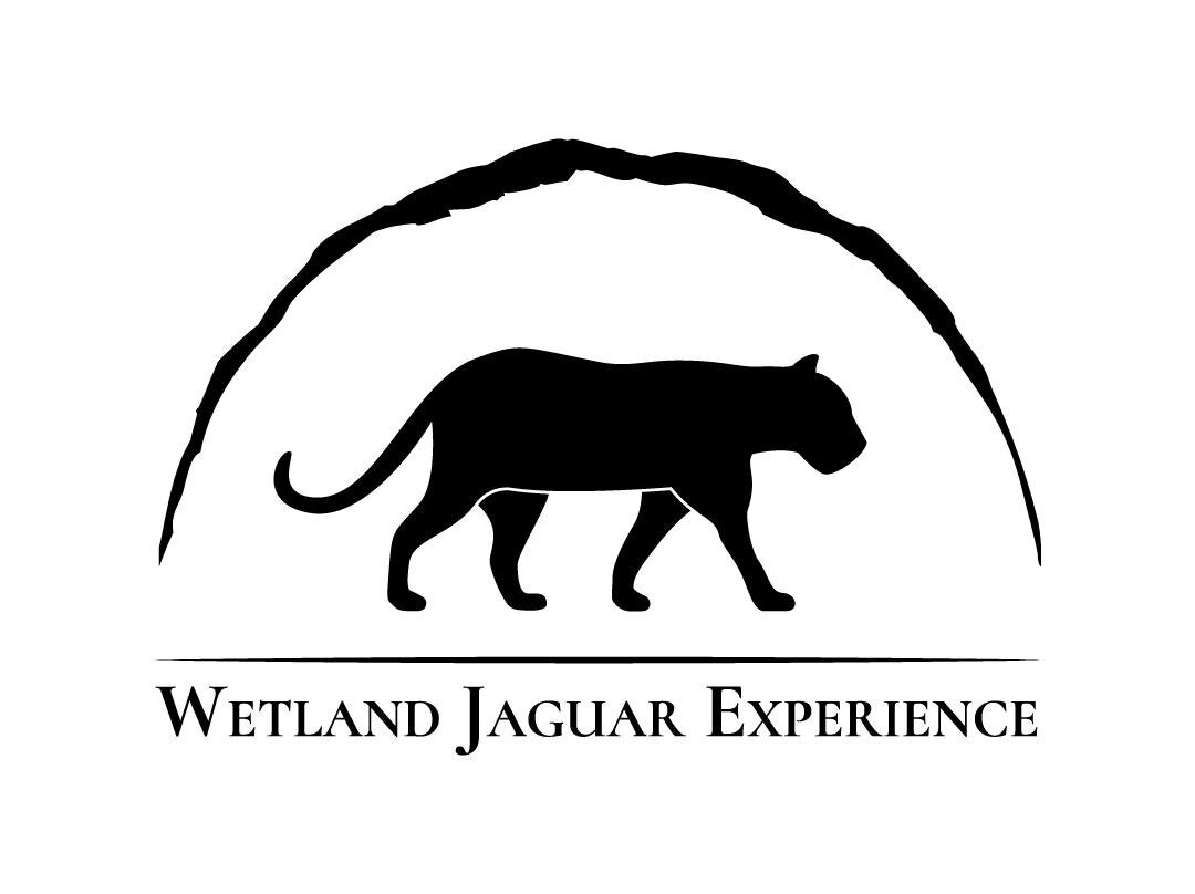 Wetland Jaguar Experience