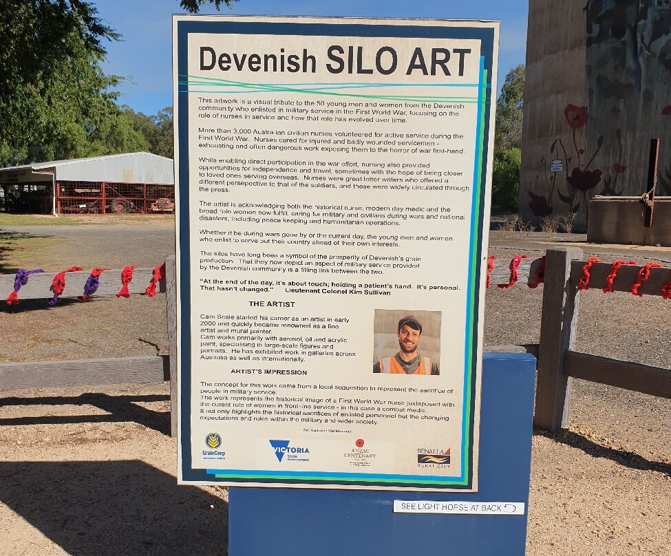 Devenish Silo Art-Devenish必去景点