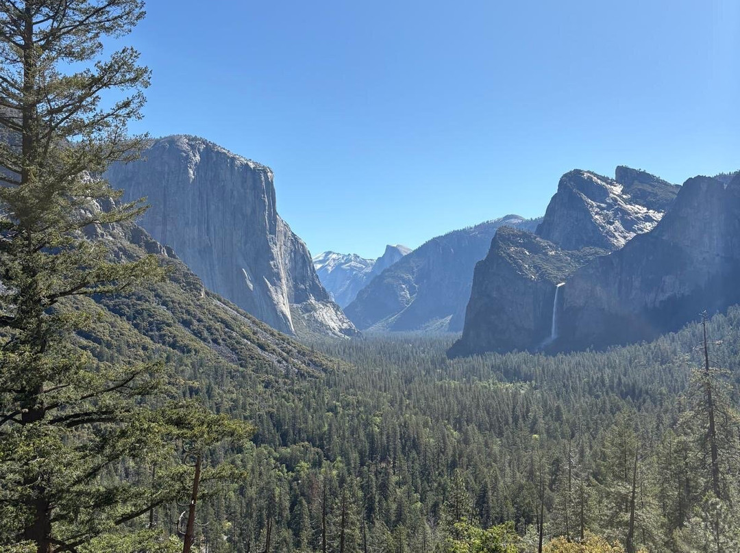 Yosemite 360 Tours-菲什营必去景点