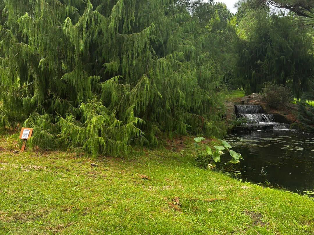 Jardín Japones Punta-Maldonado必去景点