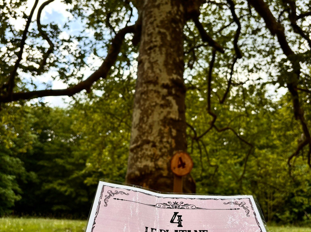 Chateau de Beaumesnil-Beaumesnil必去景点