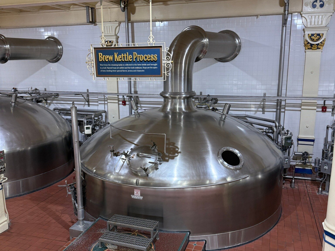 Budweiser Brewery Experience-圣路易斯必去景点