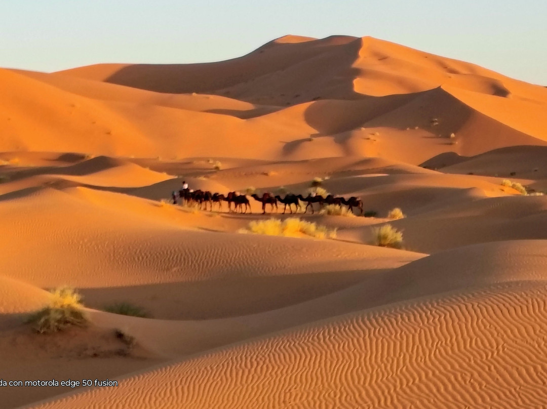 Morocco Everywhere Tours-非斯必去景点