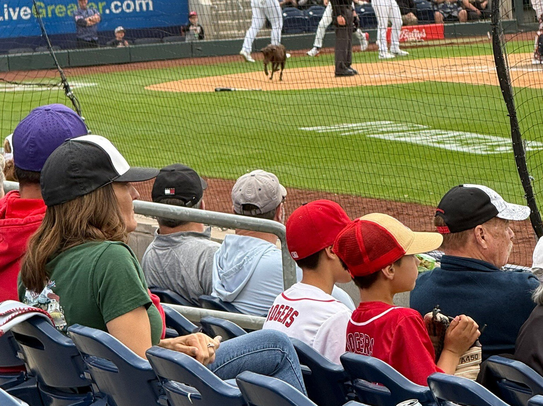 Greater Nevada Field-里诺必去景点
