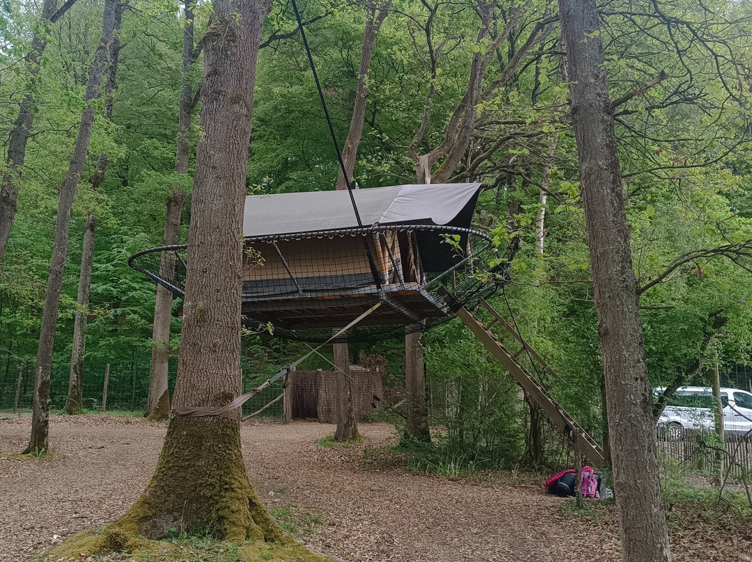 Domaine Des Grottes De Han-Han-sur-Lesse必去景点