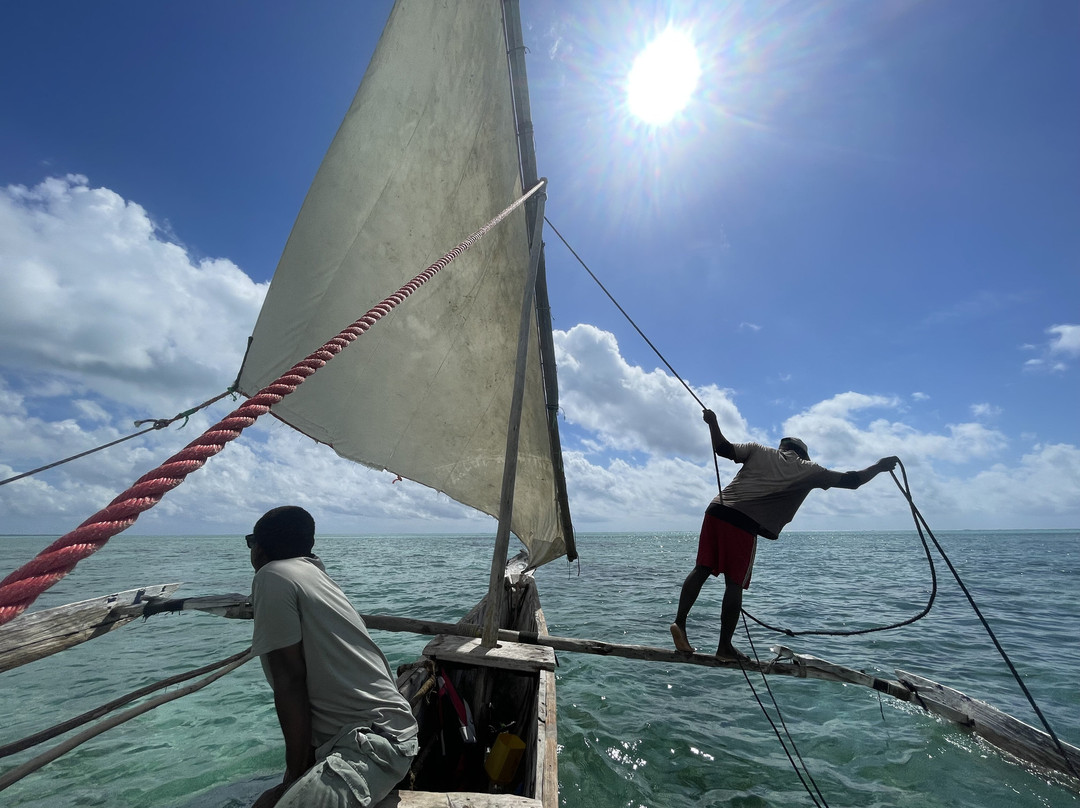 Ethical Dolphin Tours - Kizimkazi, Zanzibar-Kizimkazi必去景点