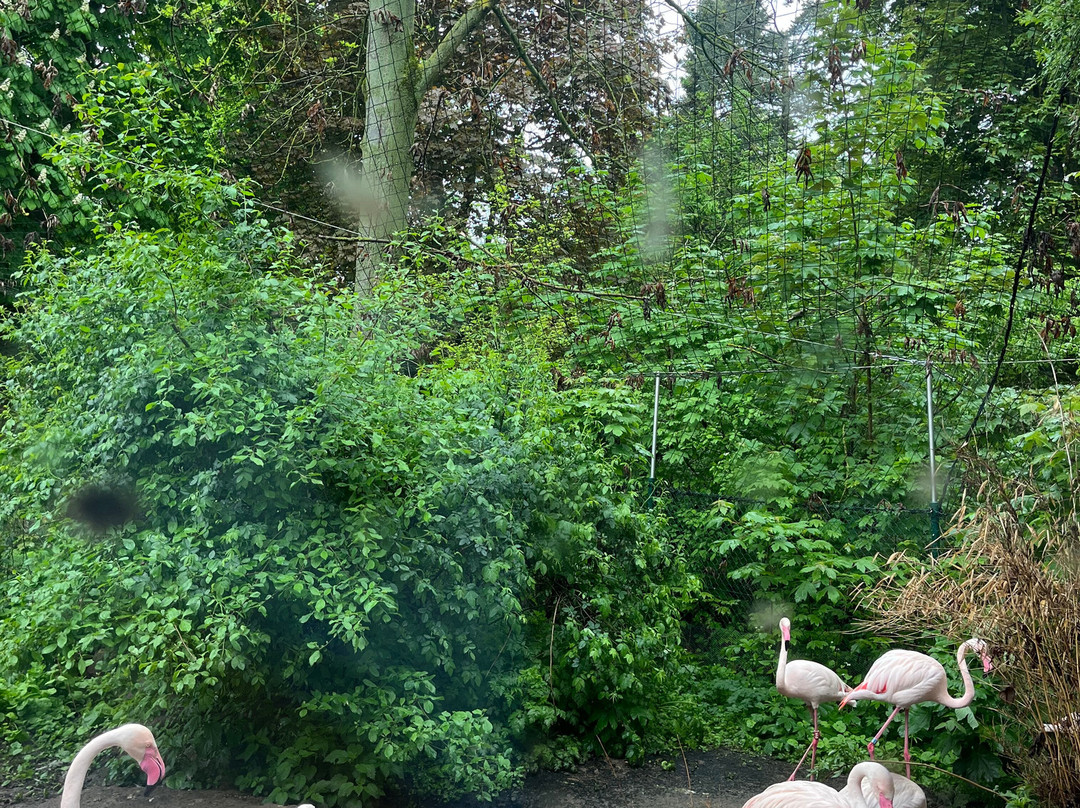 Zoologischer Garten Magdeburg-马格德堡必去景点