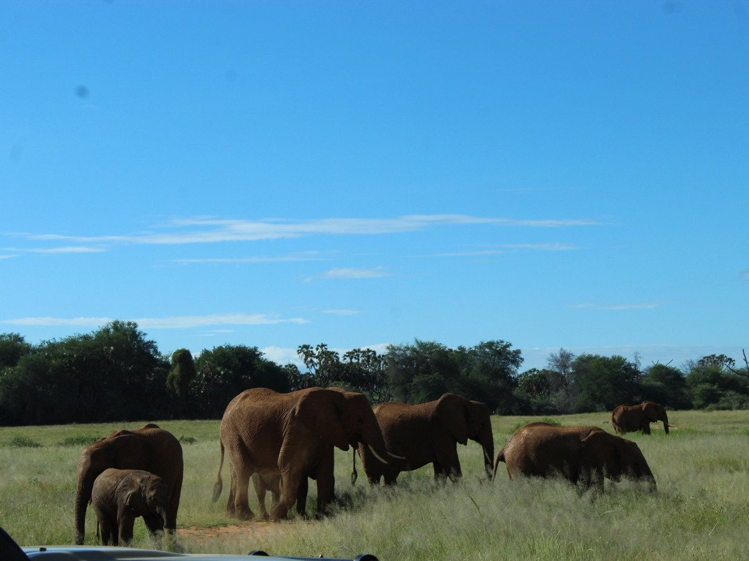Masai Mara National Reserve-纳罗克必去景点