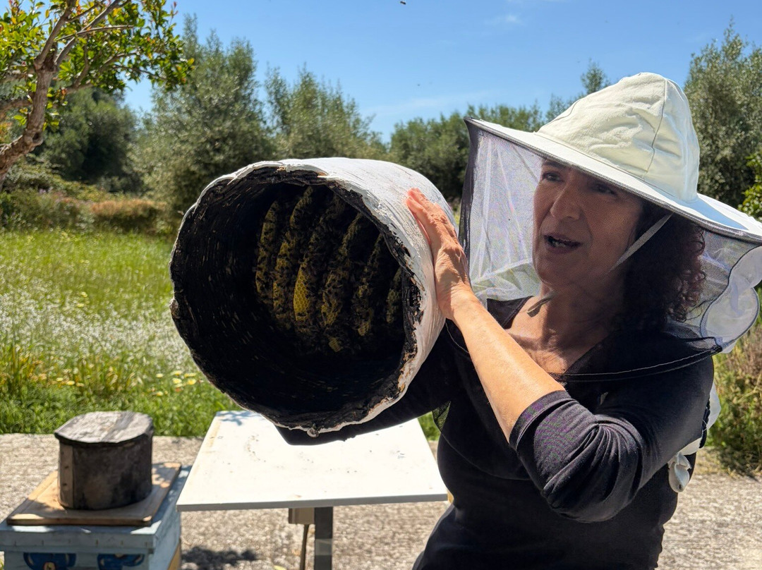 Dias Beekeeping-Svoronata必去景点