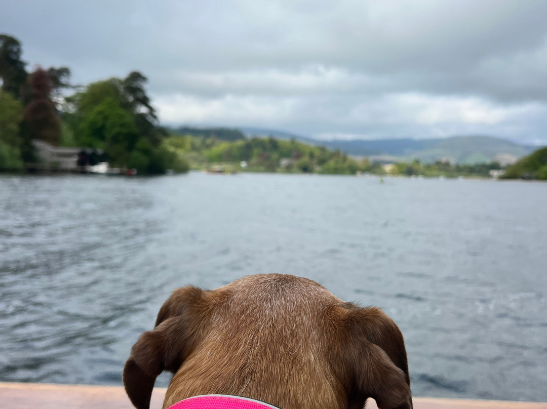 Keswick Launch on Derwentwater-凯瑟克必去景点