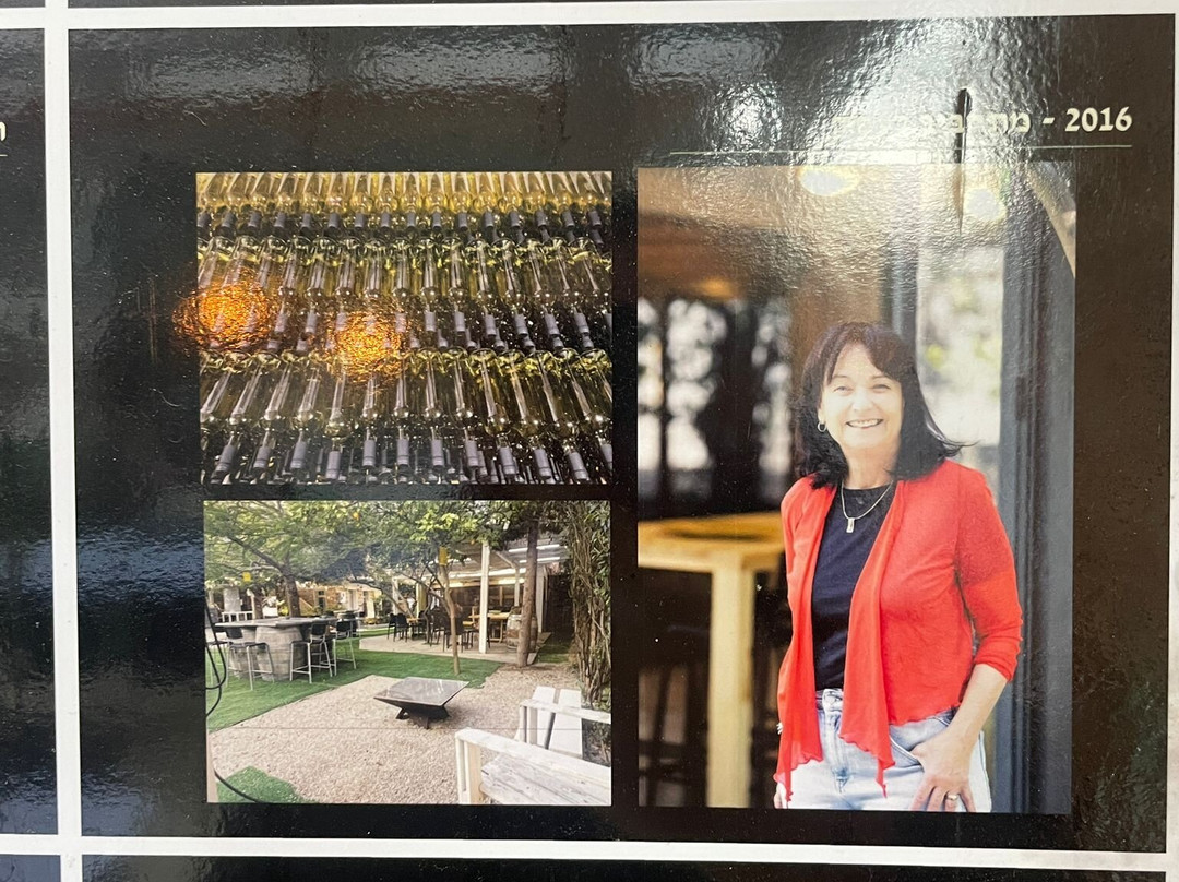 Berenice Winery-提比利亚必去景点