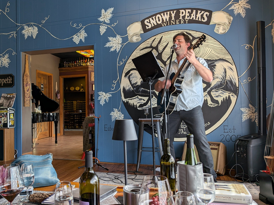 Snowy Peaks Winery-埃斯蒂斯公园必去景点