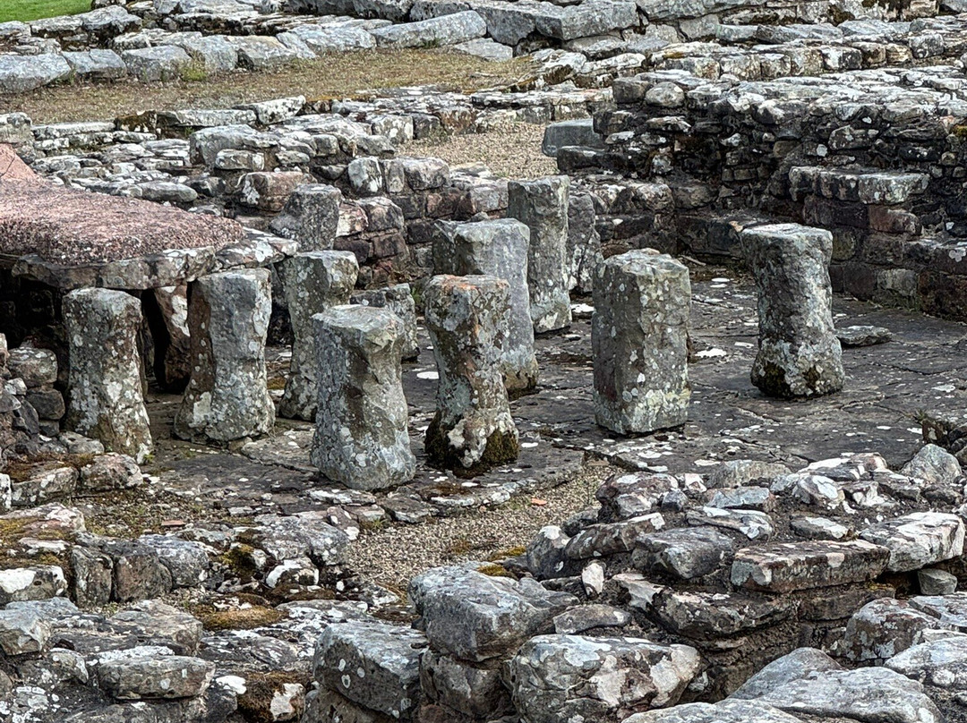 Vindolanda-赫克瑟姆必去景点