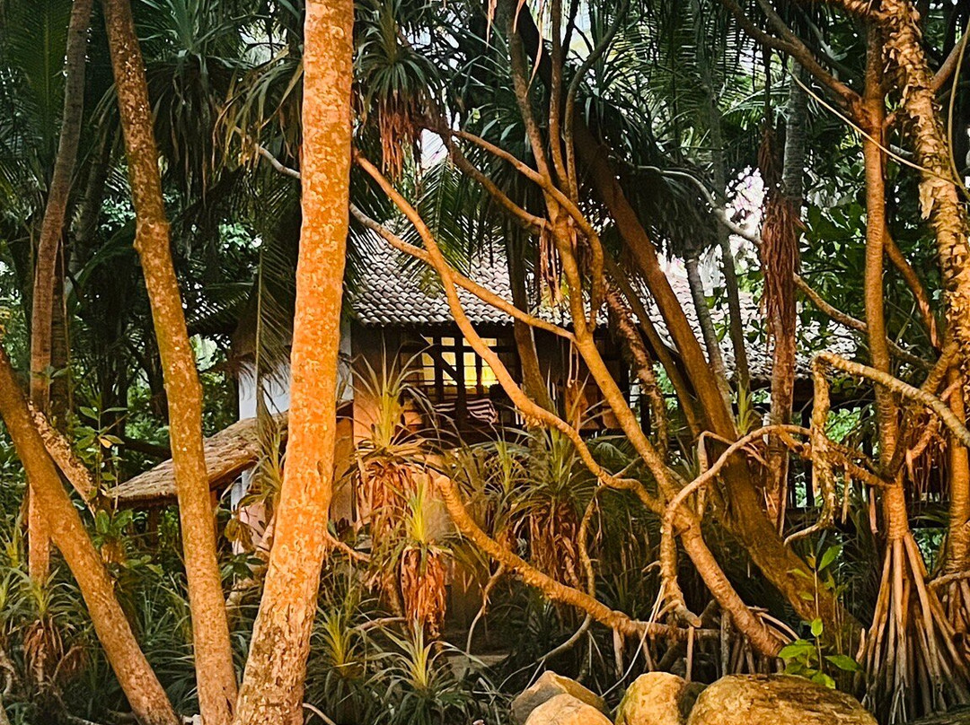 Best of Lanka-科伦坡必去景点