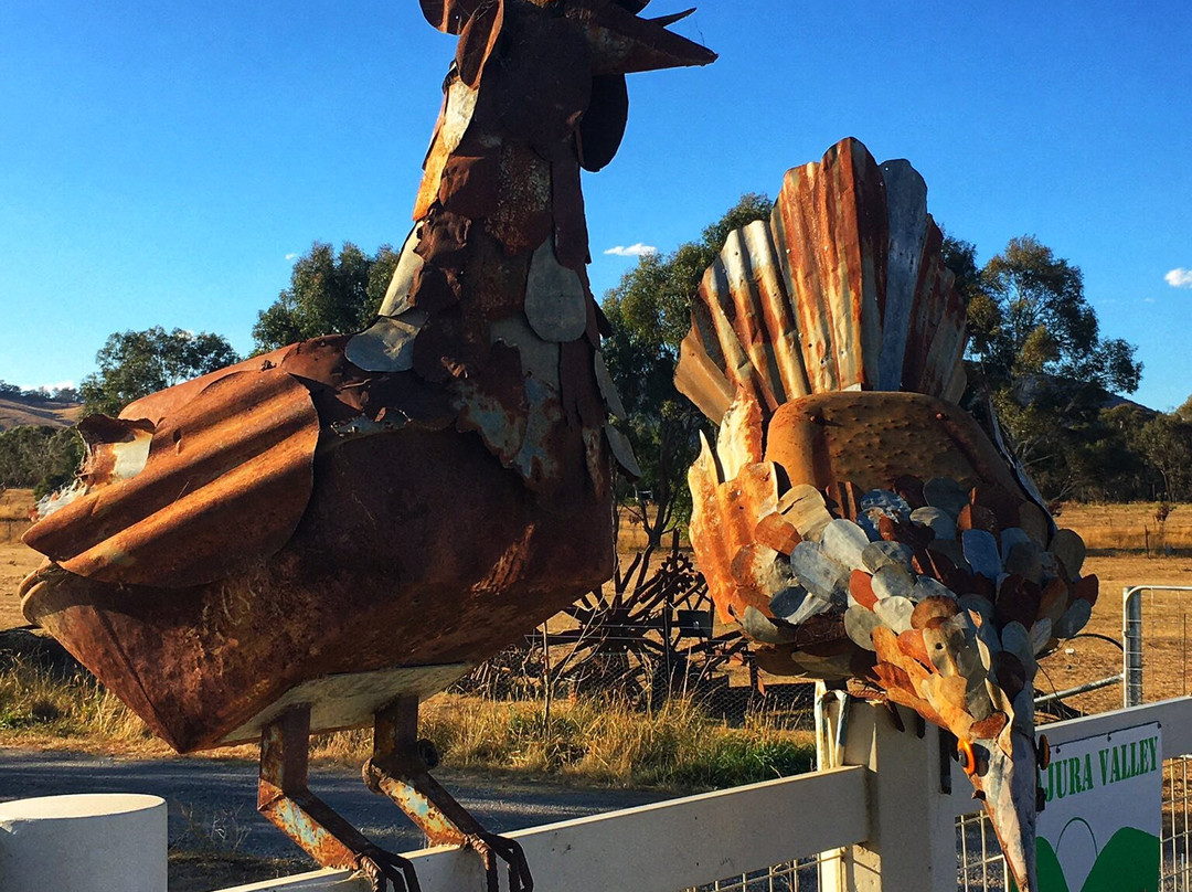 Majura Valley Free Range Eggs Farm.-Kingston必去景点
