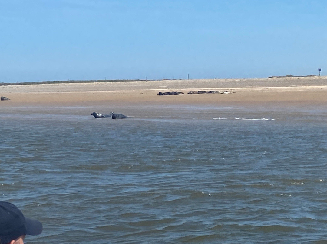 Bishops Boats Seal Trips-布莱克尼必去景点