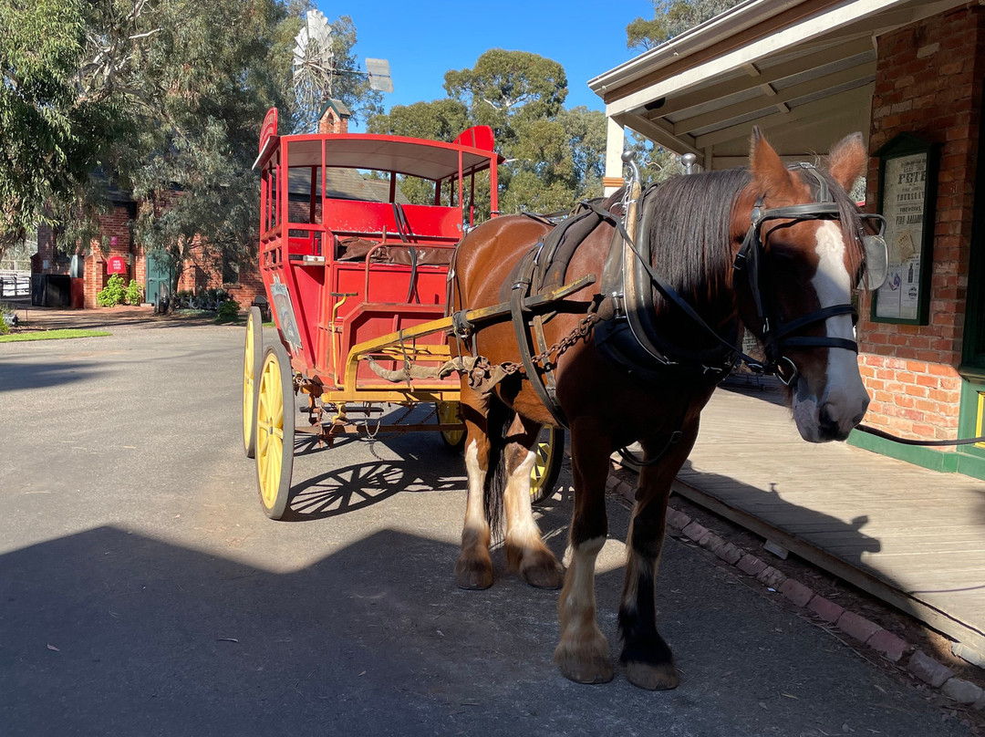 Pioneer Settlement-Swan Hill必去景点