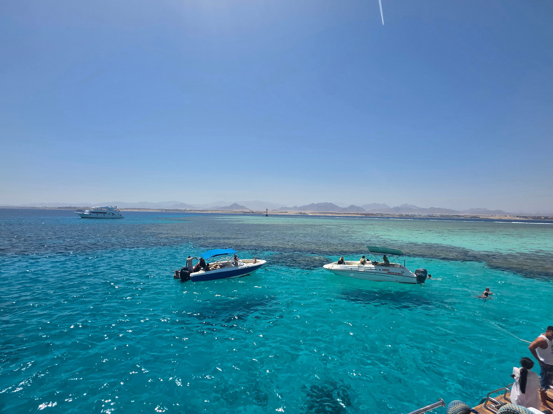 Scubadreamers Dive Travel & Excursions-沙姆沙伊赫必去景点