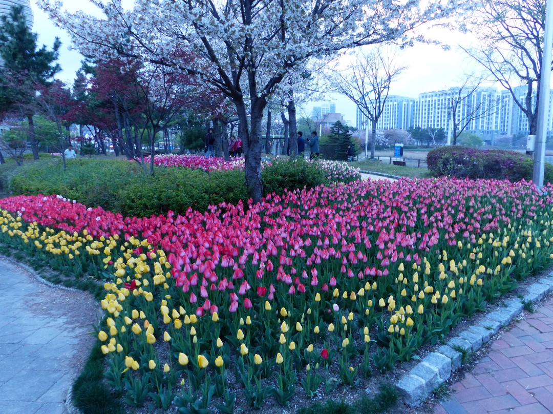 Cheongcho Lake-束草市必去景点