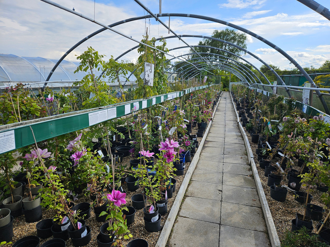Langthorns Plantery-Little Canfield必去景点