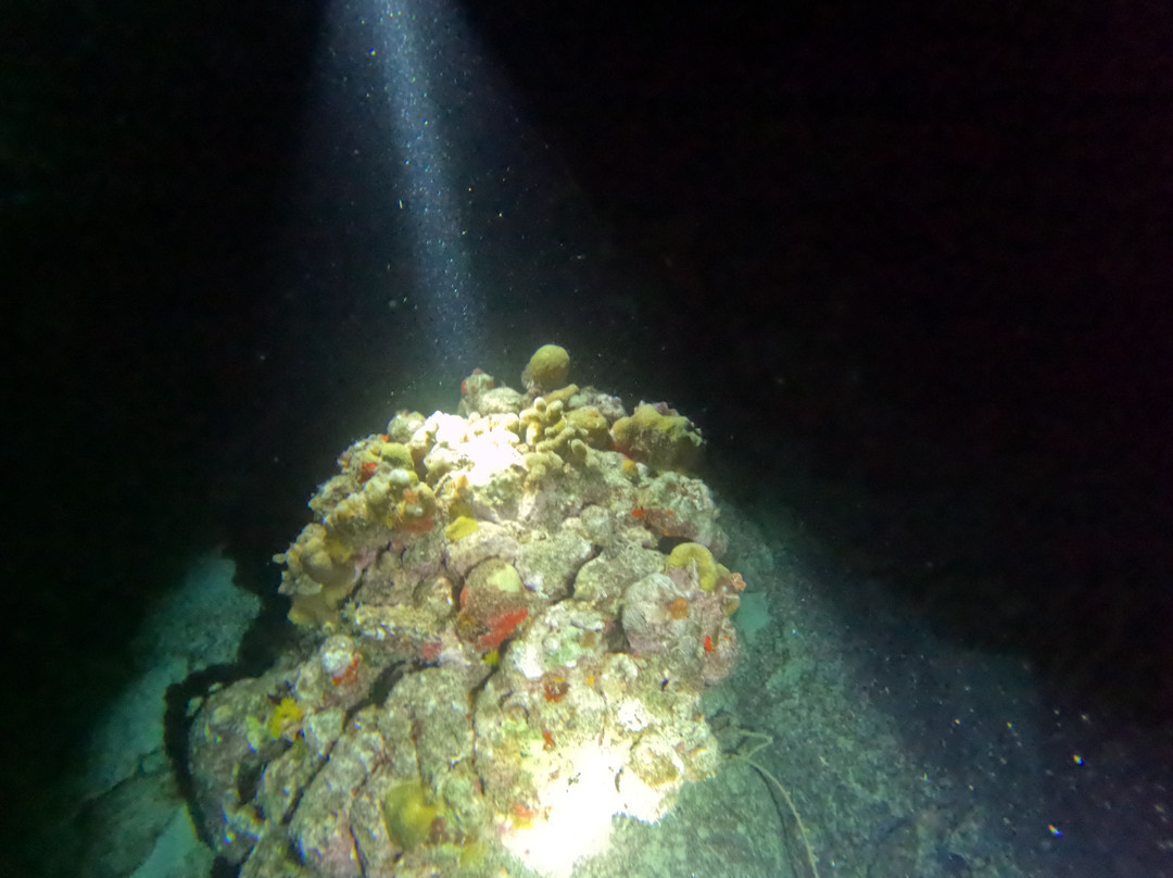 JADS Dive Center-San Nicolas必去景点