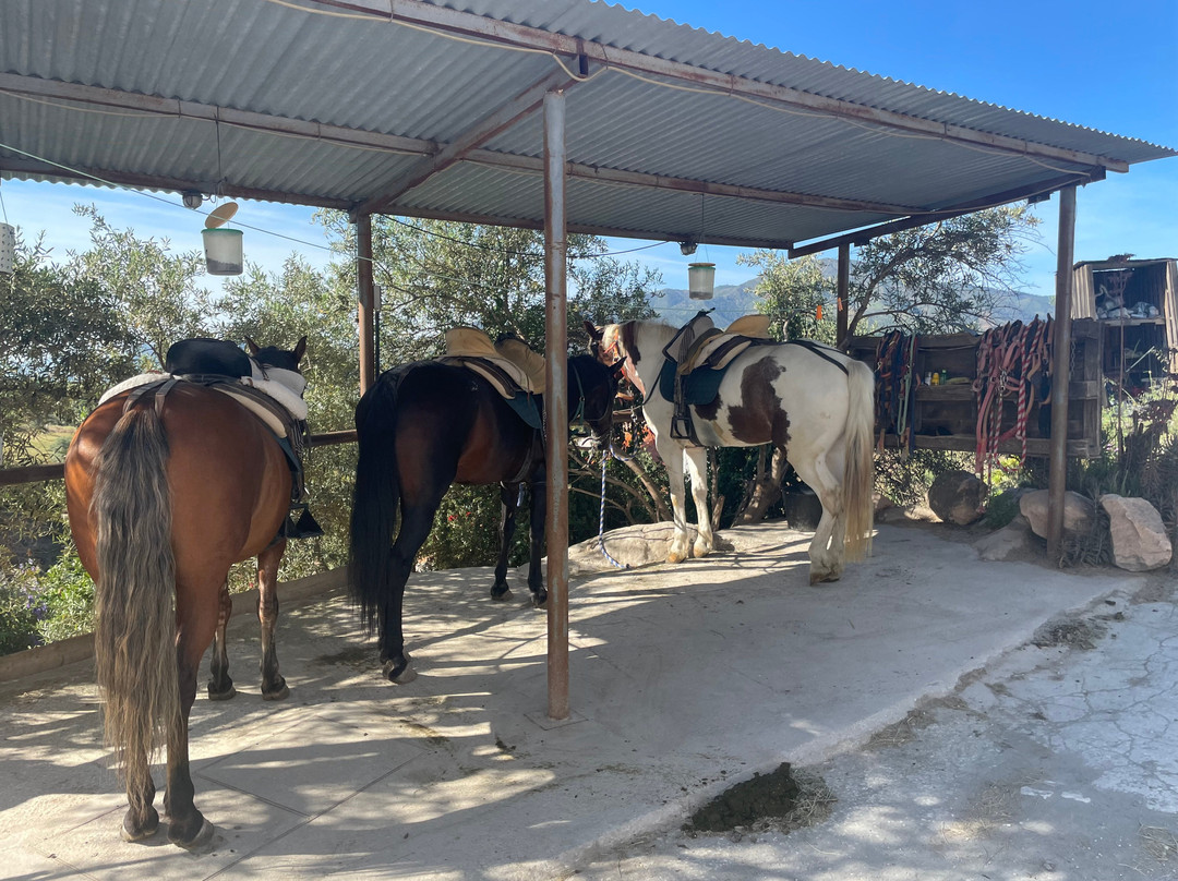 Horse Riding El Chorro-El Chorro必去景点