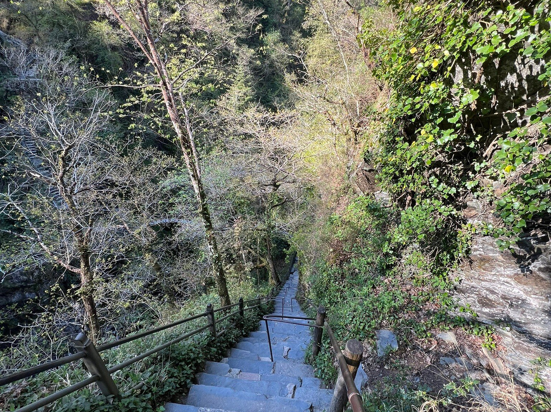 Devil's Bridge Waterfalls-Devil's Bridge (Pontarfynach)必去景点