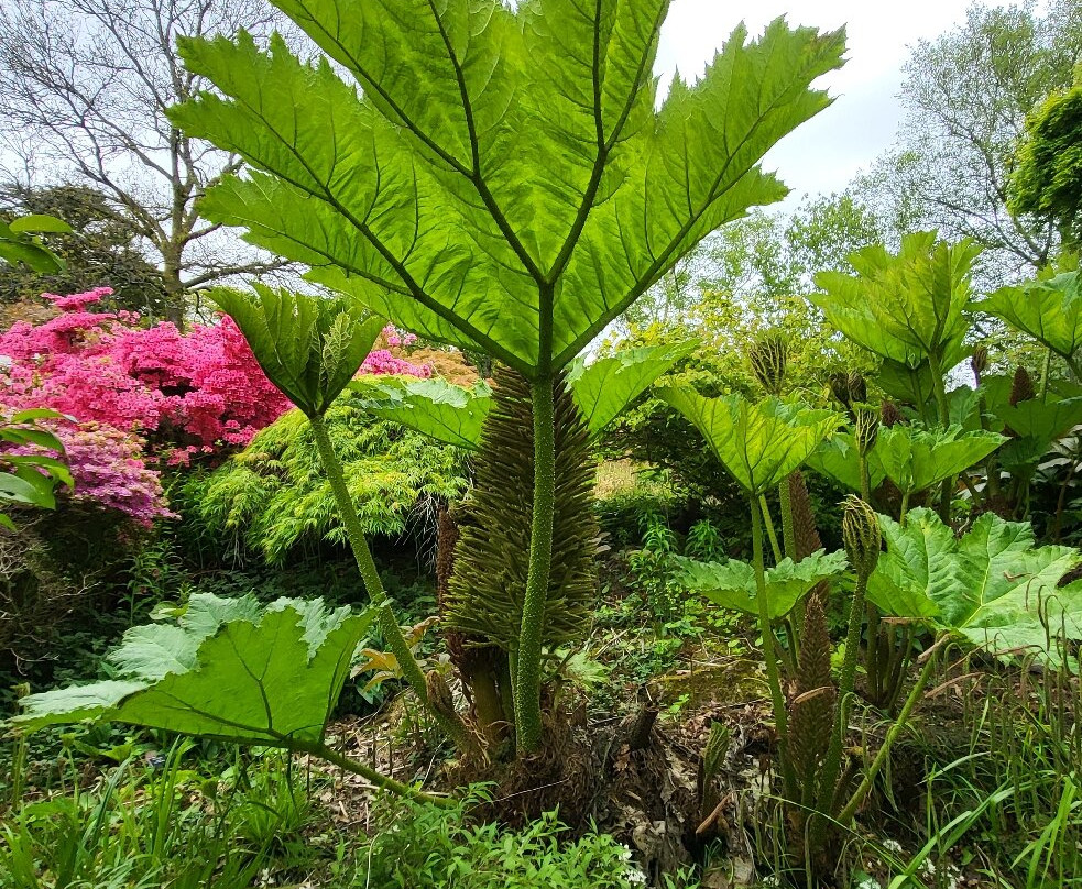 Holehird Gardens-温德米尔必去景点