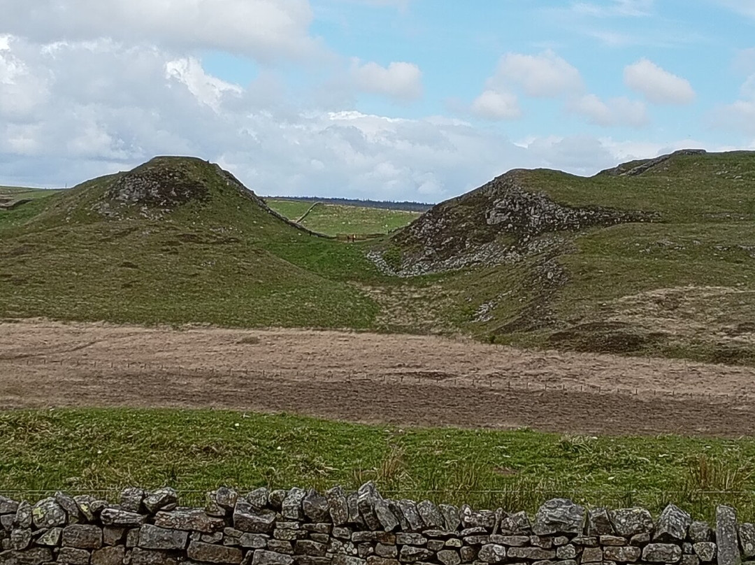 Sycamore Gap-Northumberland National Park必去景点