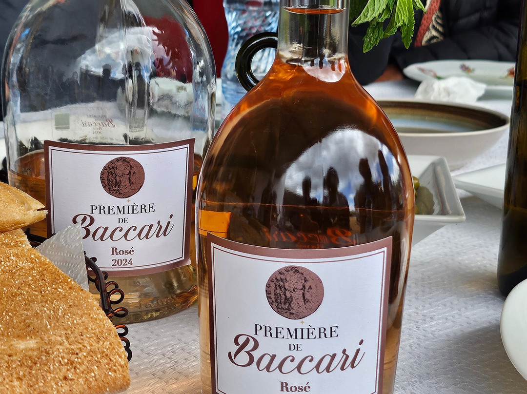 Domaine de Baccari-梅克内斯必去景点