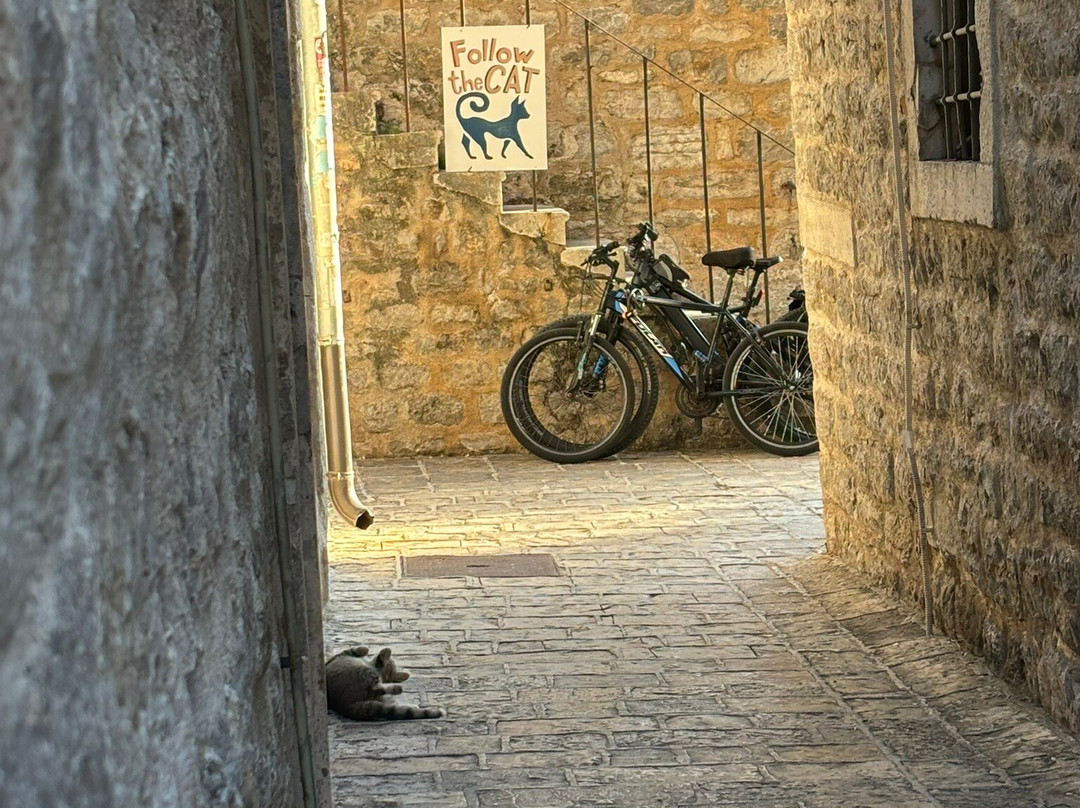 Altstadt - Old Town Budva-布德瓦必去景点