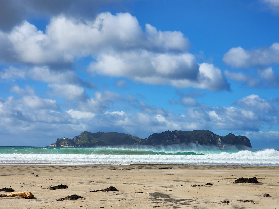 Mt Hobson via Windy Canyon-Great Barrier Island必去景点