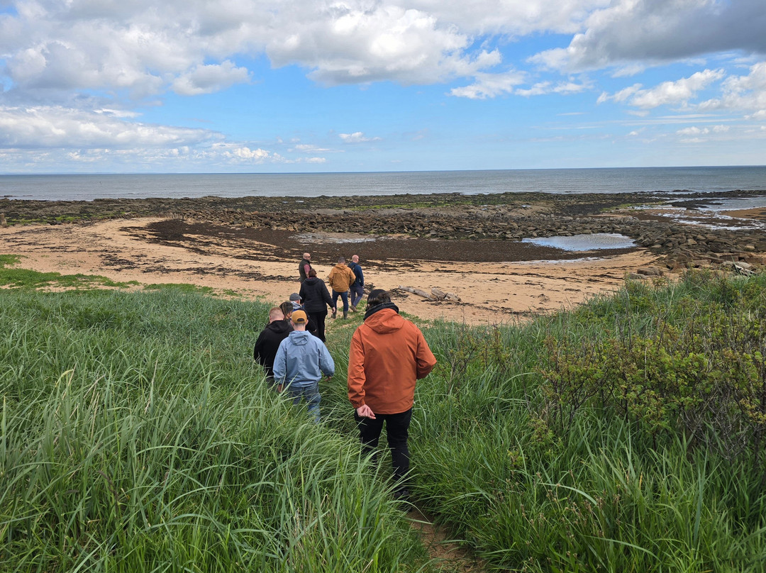East Neuk Seaweed-St Monans必去景点