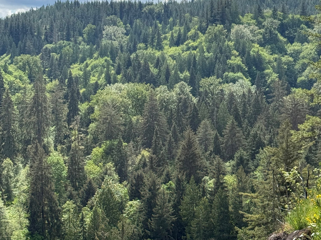 Snoqualmie Falls-斯诺夸尔米必去景点