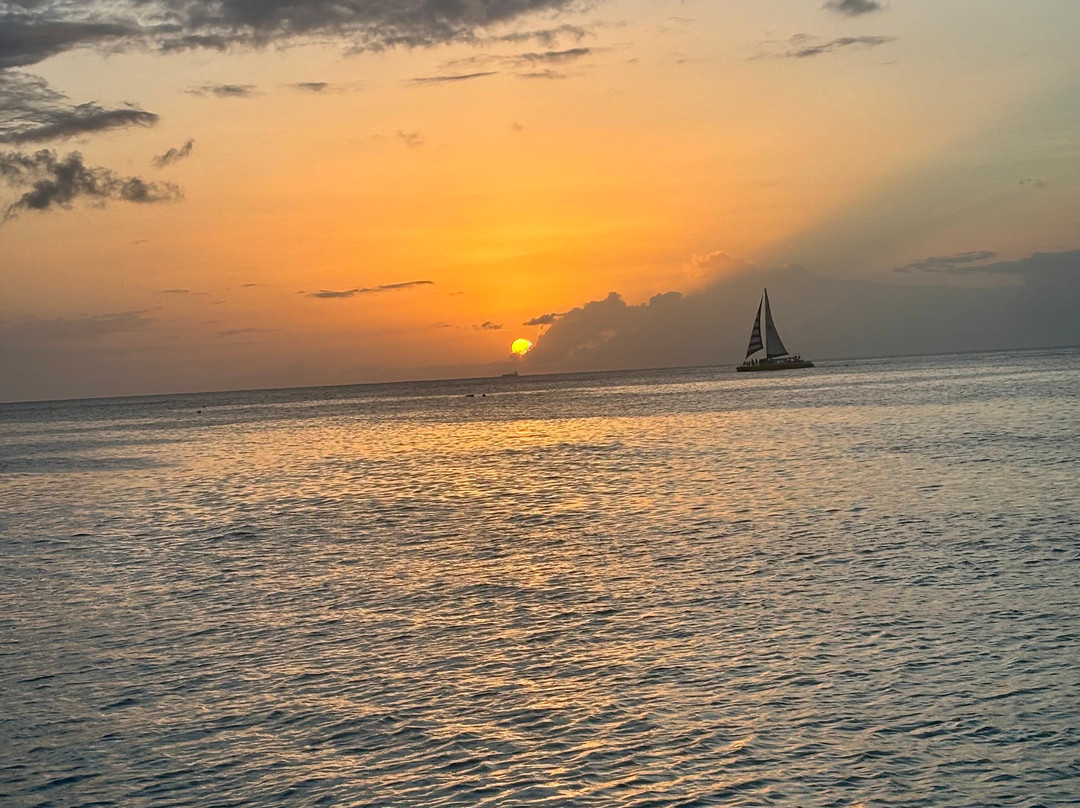 Cool Runnings Catamaran Cruises-布里奇顿必去景点