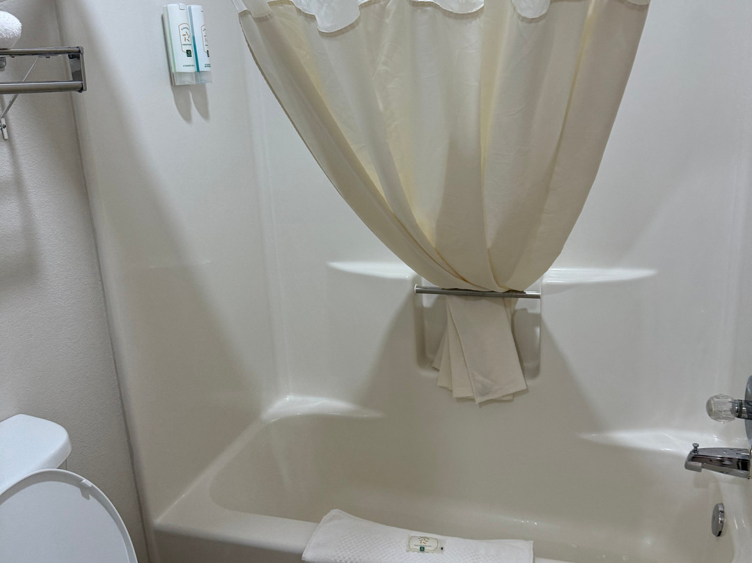霍尔布鲁克品质酒店近化石森林主图