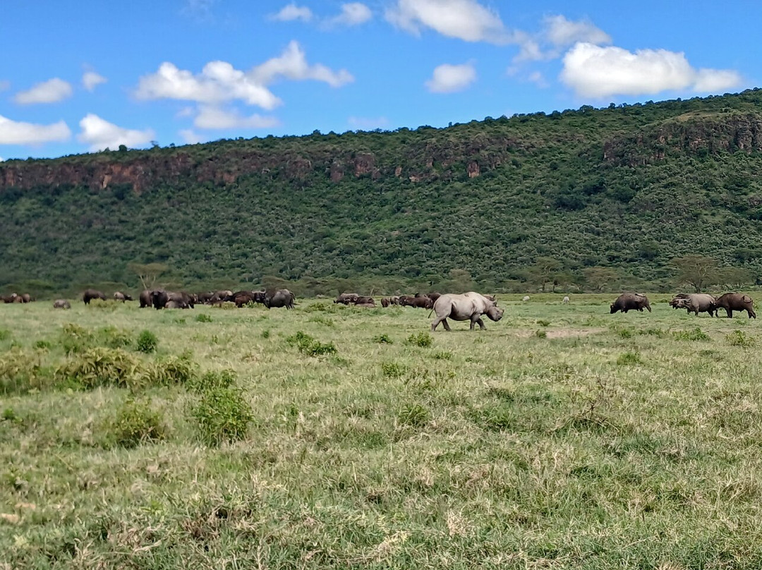 LAKE NAKURU NATIONAL PARK-纳库鲁湖国家公园必去景点
