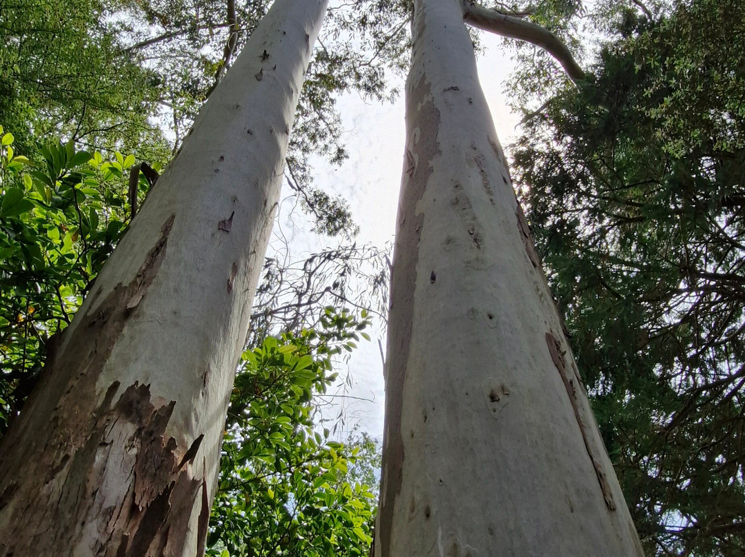 Parc Botanique de Cornouaille-孔布里必去景点