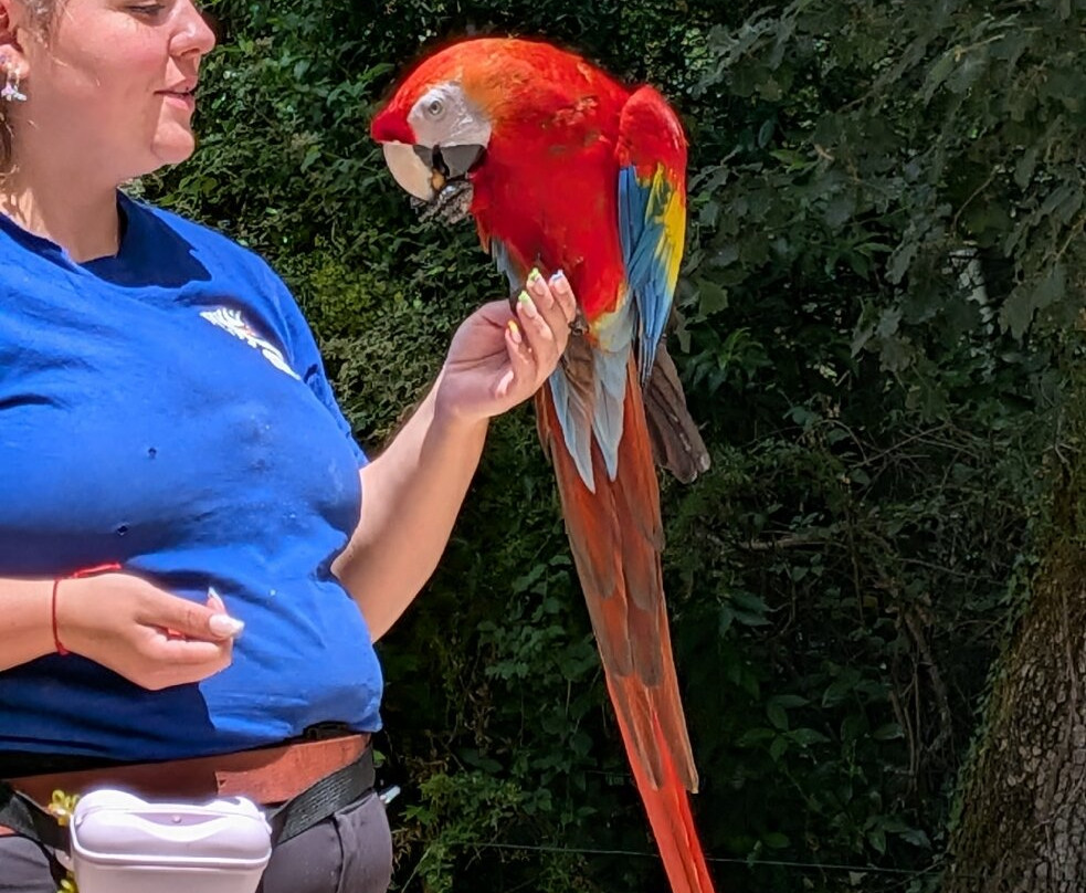 Zoo African Safari-Plaisance-du-Touch必去景点
