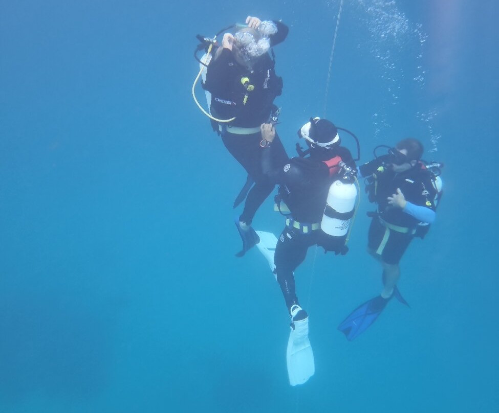 Museum of Underwater Art-North Ward必去景点