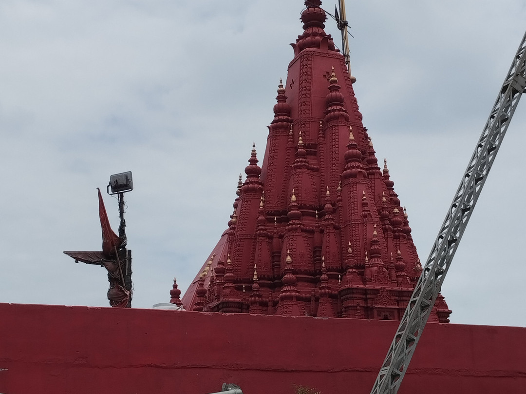 Monkey Temple (Durga Temple)-瓦拉纳西必去景点